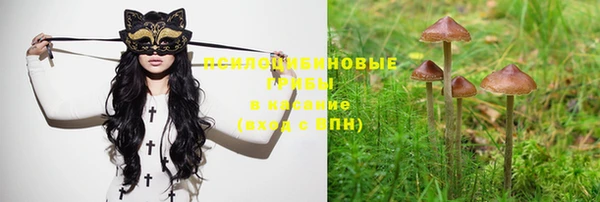 амф Бронницы