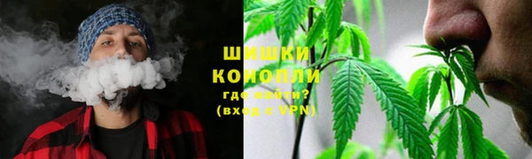 круглые Бородино