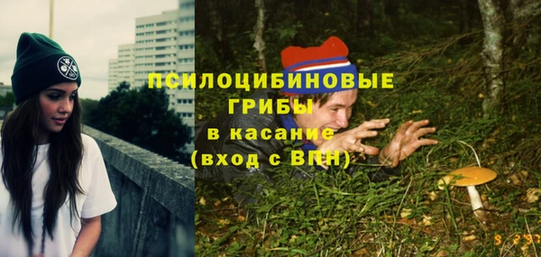 амф Бронницы