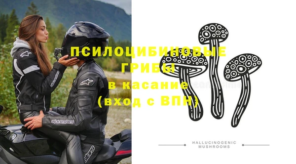 амф Бронницы
